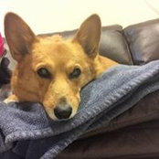 Maggie Schuette's photo