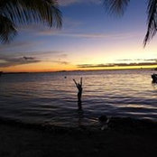 Amanda Goddard's photo