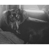 Nancy Martin's photo