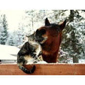 Anca Gherman's photo
