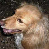 An Delgado's photo