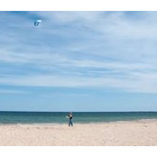S Dye's photo