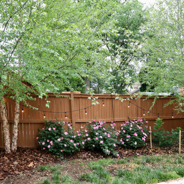 Colorful front yard, dog friendly backyard.