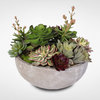Artificial Succulent Variety With Modern Cement Round Bowl