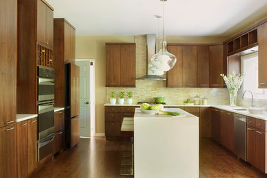 Kitchen - contemporary kitchen idea in St Louis