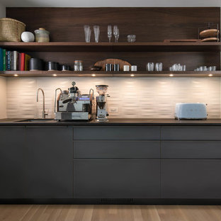 75 Beautiful Midcentury Modern Kitchen Pantry Pictures Ideas Houzz