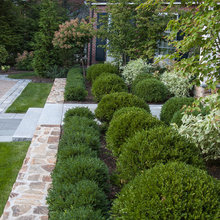Landscape Designers