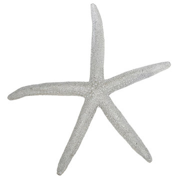 Metallic Finger Starfish, Set of 3, Silver, 12"