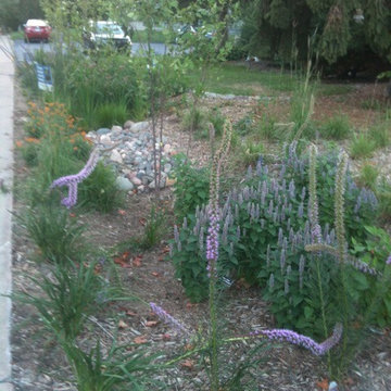 Green Infrastructure Project