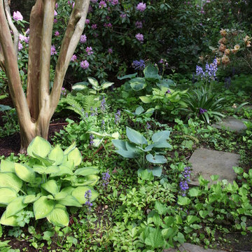Woodland Garden