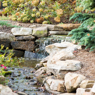 Natural Stream After