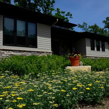 Native and Deer Resistant Landscape
