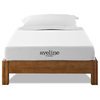 Aveline 6" Narrow Tw, Mattress, White