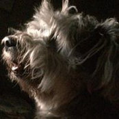 Maria Vela's photo