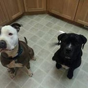 Sean Grundy's photo