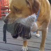 Joanna Owens's photo