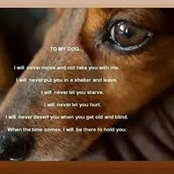 Janet Court's photo