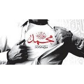 عمرو ابو الهيجاءs billede