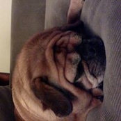 Renee Brombal's photo