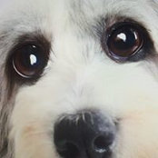 Victoria Ingrassia's photo