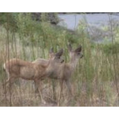 Karen McCree's photo