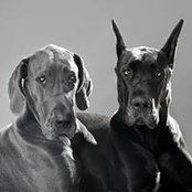 Foto von Ben Ben