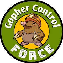 Gophers Control Force in San Mateo & Santa Clara