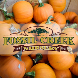 Harvest Festival - Products