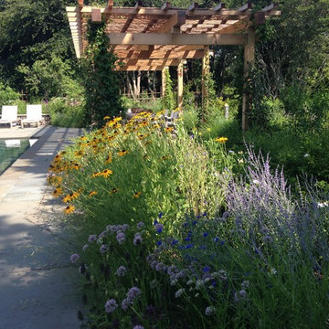 East Hampton, NY - Revegetation Design and Installation