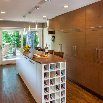 Minneapolis Contemporary Home Remodel