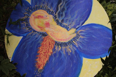 Foetus flower: Iris germanica