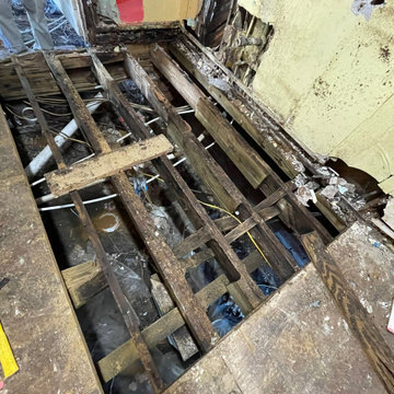 Termite Damage Is at it Again