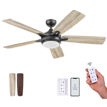 Prominence Home Lorelai Smart Ceiling Fan With Light, Bronze