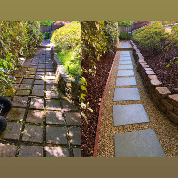 Complete Backyard & Landscape Renovation