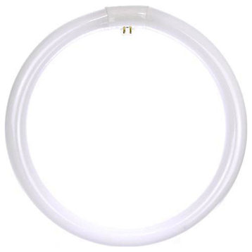 Sunlite Fc12t9/Cw 32W 12 Inch Cool White T9 Circline 4-Pin Light Bulb
