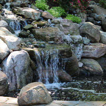 Sleeping With the Fishes in Bethesda MD