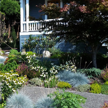 Rain Garden
