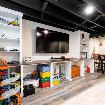 Basement Playroom in Springfield, PA