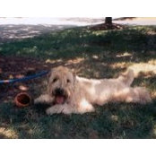 Winnie Goldblatt's photo