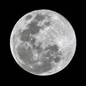 Kerri Scholl's photo