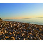 Dominique Neumann's photo