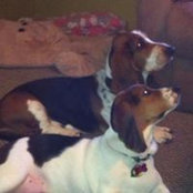 Nancy Hedges's photo