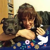 Stephanie Flaherty's photo