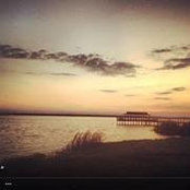 Bridgette Toombs's photo