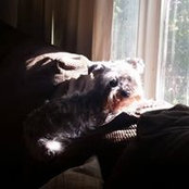 Robyn Flake's photo