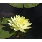 Kathleen Larsen's photo