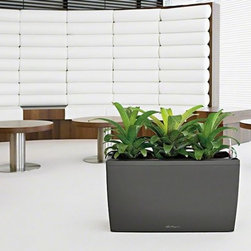 Cararo Premium 75  Lechuza - Indoor Pots And Planters