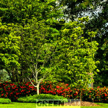 GreenPal Lawn Care