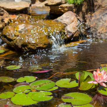 The Golden Pond and Water Features
