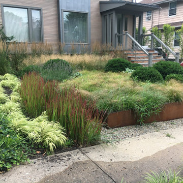 Front garden fun